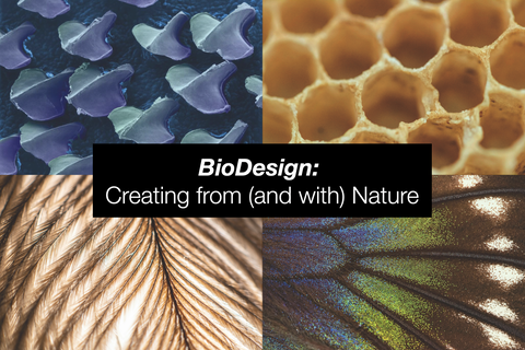 Designing with Nature